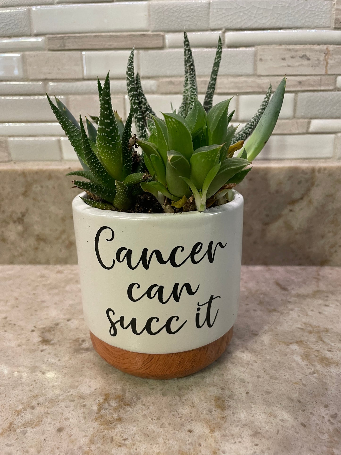 Cancer Can Succ It